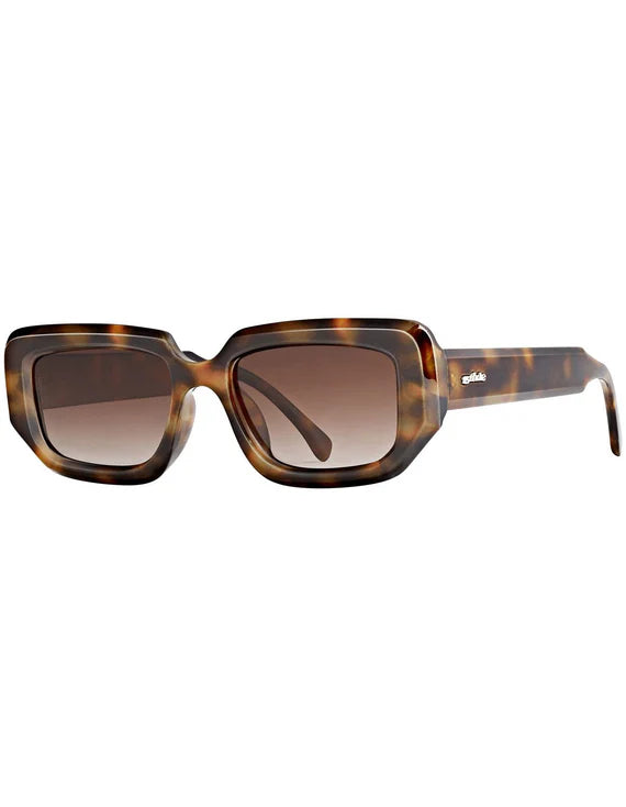 banks ; cape tortoise / hustler brown polarised