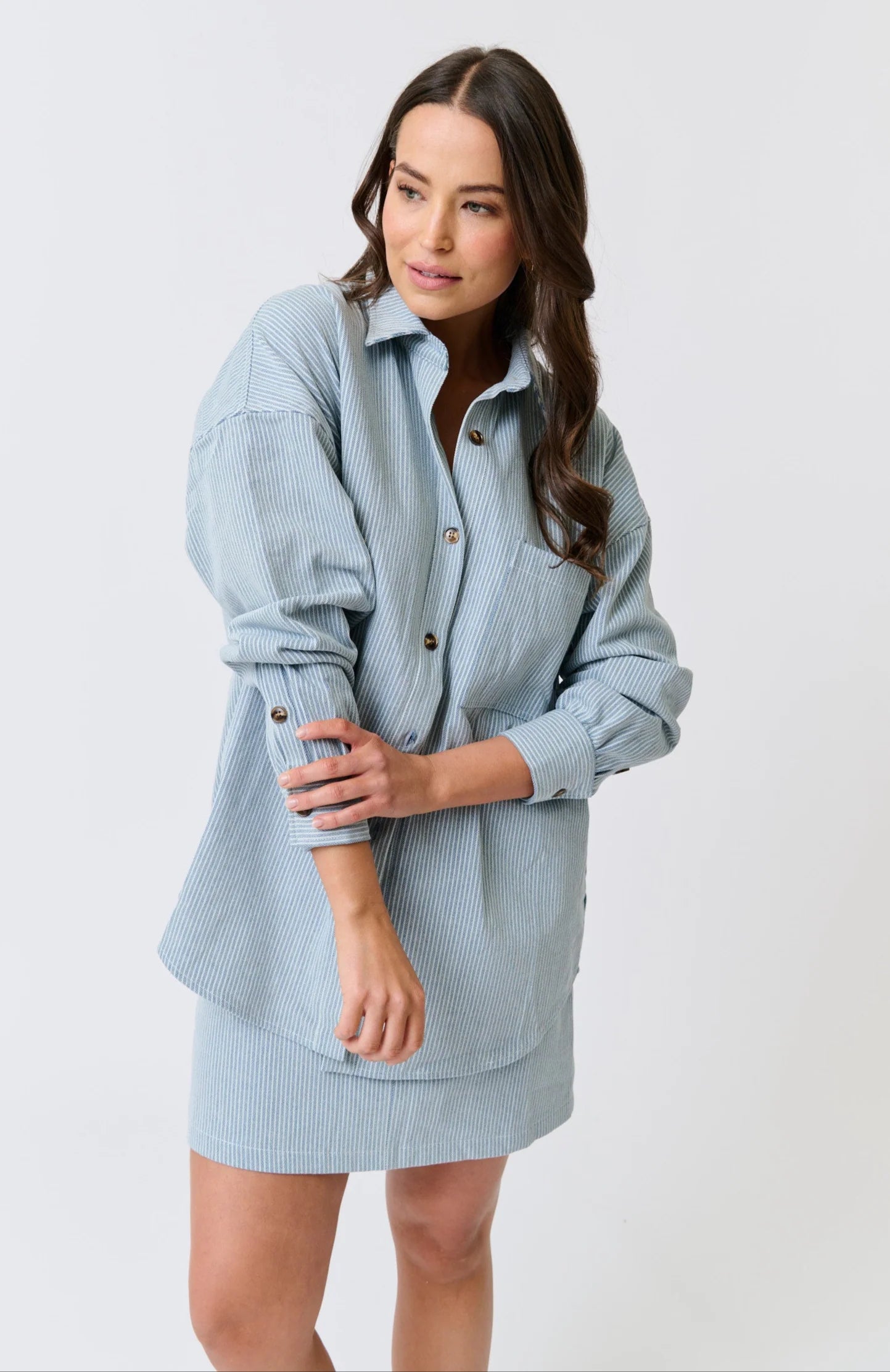 Tamika Shirt Stripe Denim