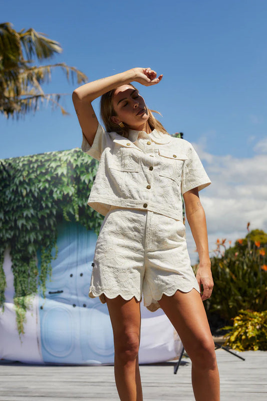 Everyday Short Creamy Daisy