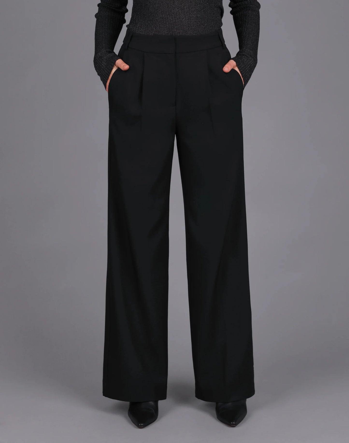 Front Pleat Wide Leg Pant